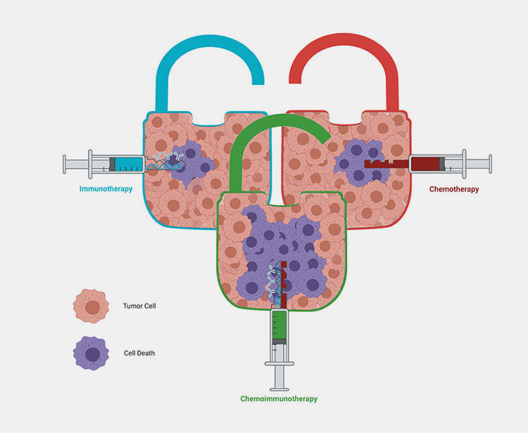 Chemoimmunotherapy