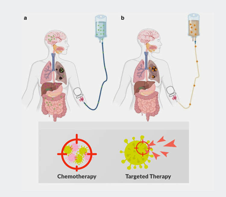 Chemotherapy with target therapy