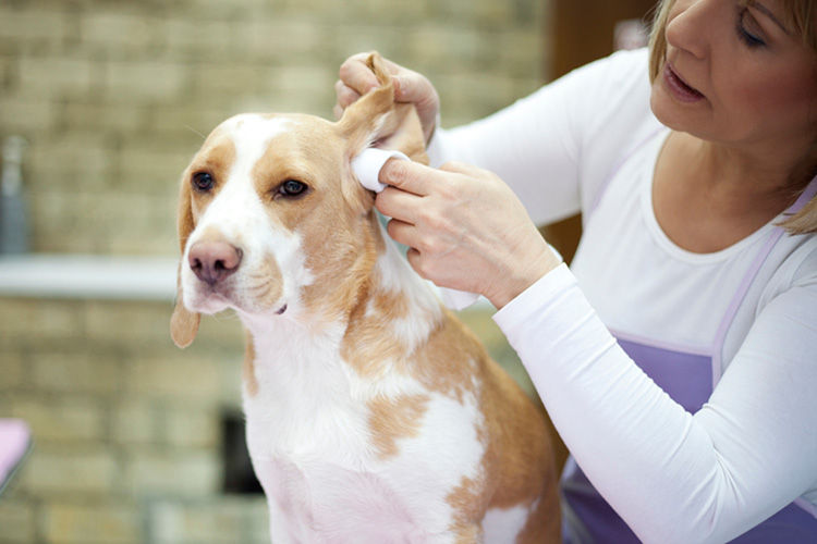 Cleaning-ears