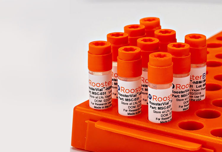 Cryopreservation vials