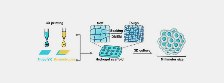 Dmem for 3D cell culture and bioprinting technologies