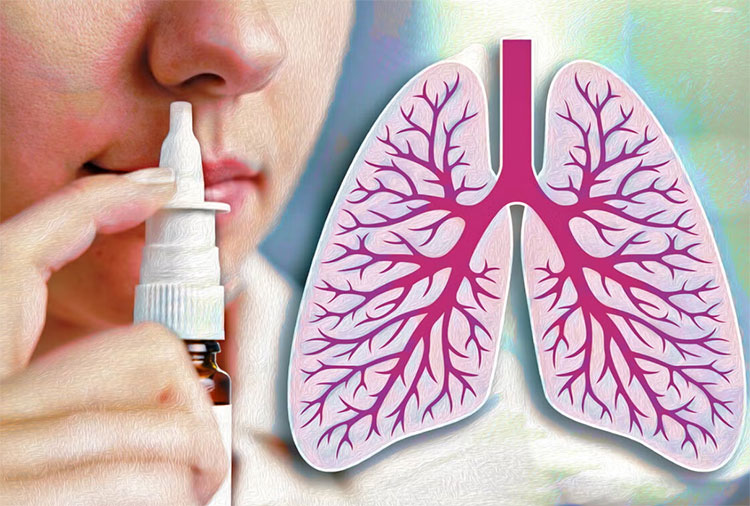 Drug delivery through nasal pathway