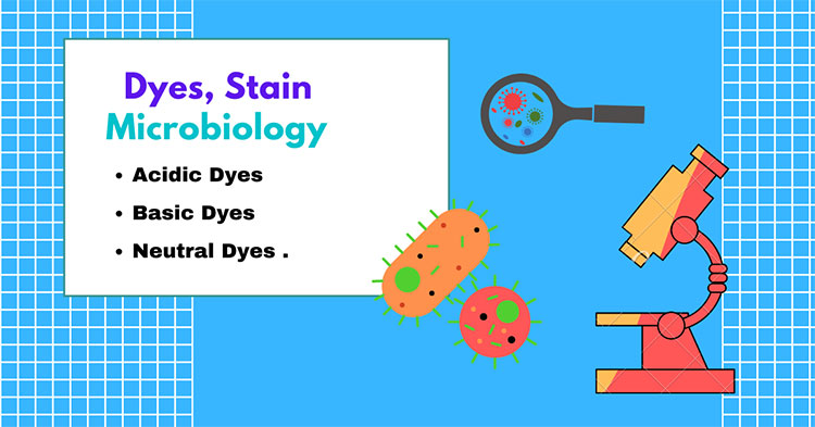 Dye