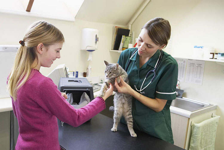 Educating cat owners