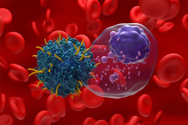 Elaborating cell therapies