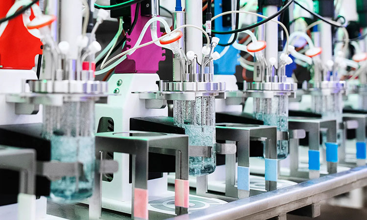 Environmental Conditions for Enzymes Manufacturing