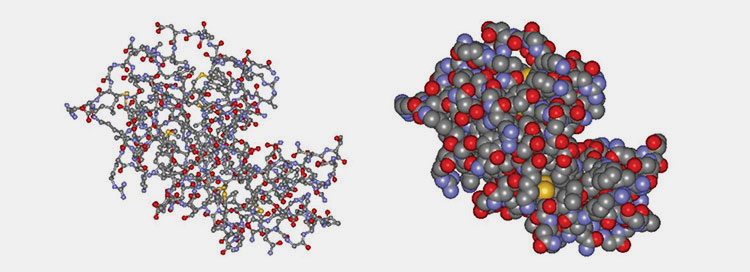 Enzyme Clumping Together