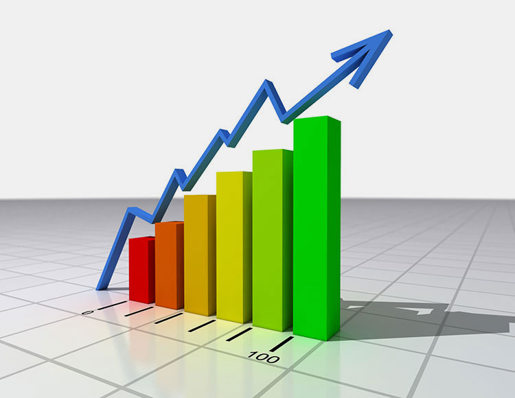 Establishing Economy