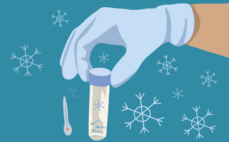 Fertility preservation