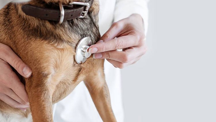 Gentle Alternative to Surgery