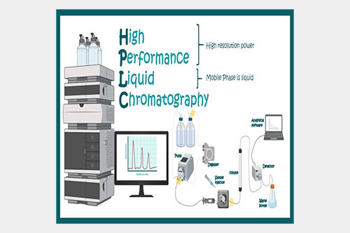 HPLC system