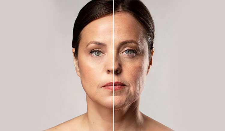 Hydrates and keep your skin firm