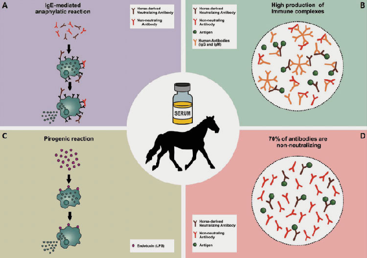 Hyperimmunization of horses