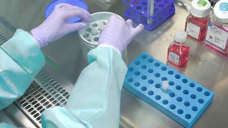 Important Aspects Of Cell Culture Freezing Medium