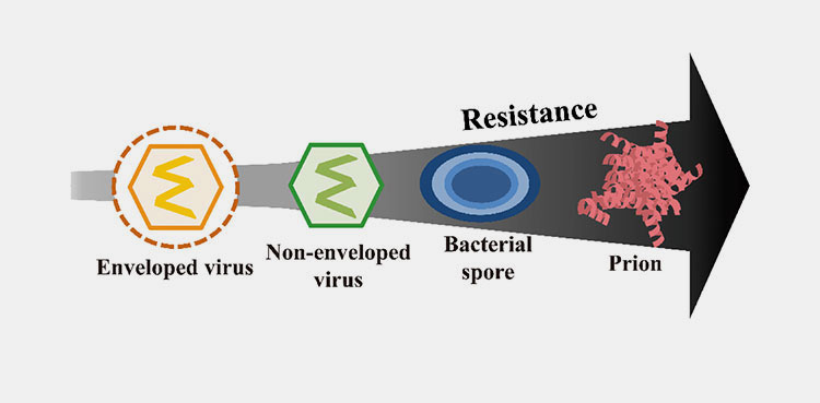 Inactivation and sterilization