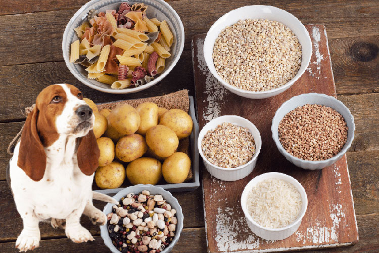 Increase carbohydrate diet