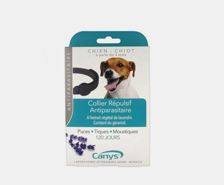 Insect repellent collars-1