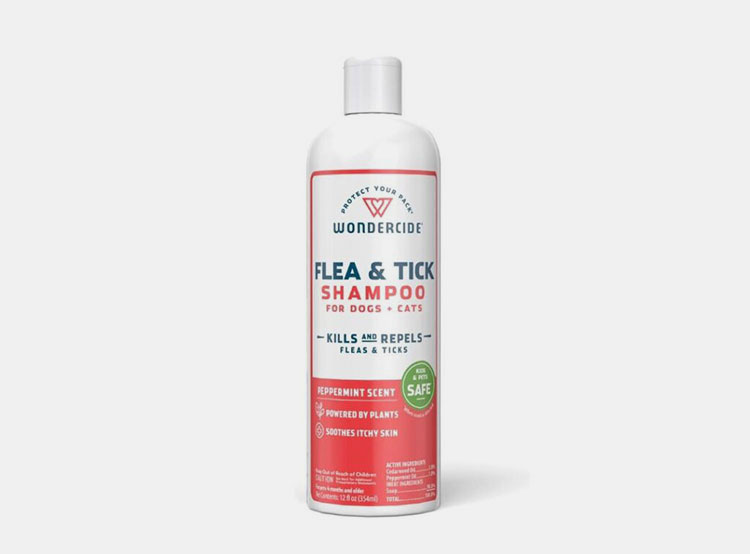 Insect repellent shampoos