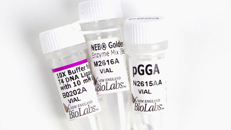 Labeling