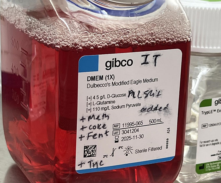 Labeling the bottles