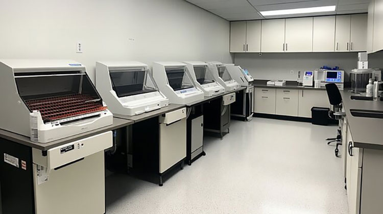 Laminar flow hood