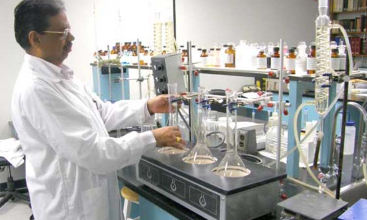 Lifevision Healthcare