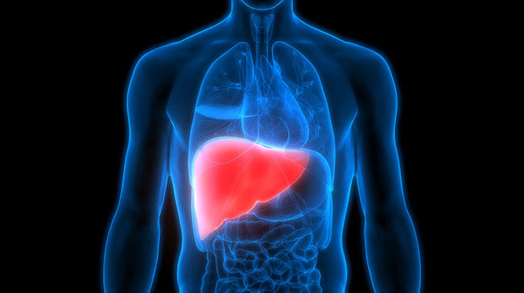 Liver-Related Side Effects