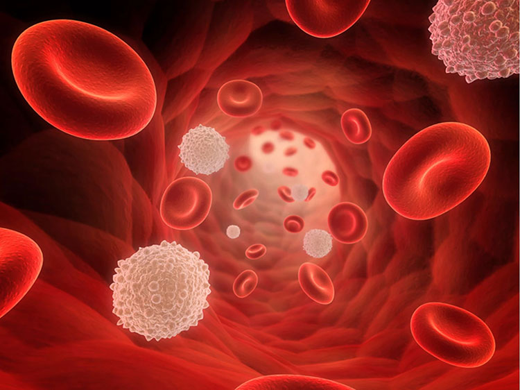 Low blood cell count