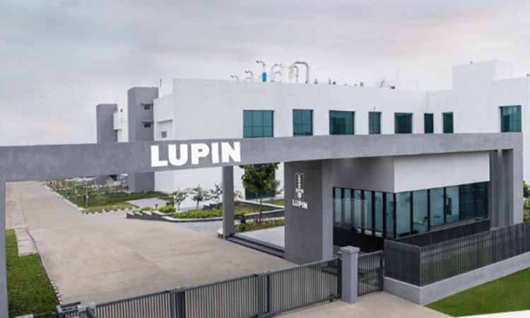 Lupin