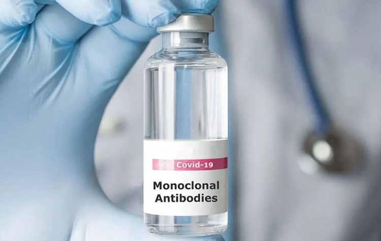 Monoclonal Antibodies
