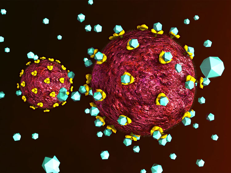 Multiple epitope vaccine