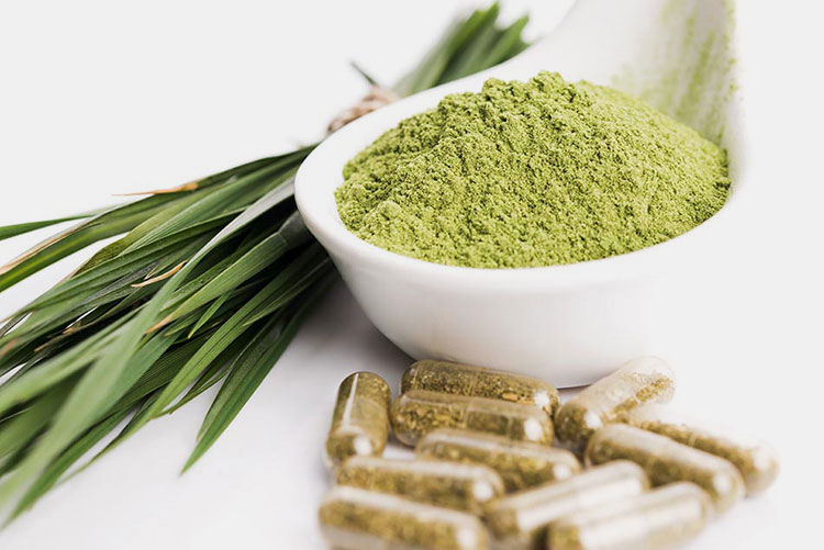Plant-Based Proteins Sources