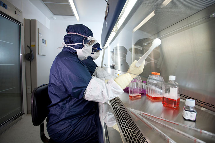 Precautionary Measures For Cell Culture Freezing Medium