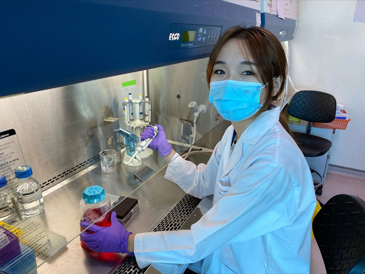 Precautions For Handling T Cell Culture Media
