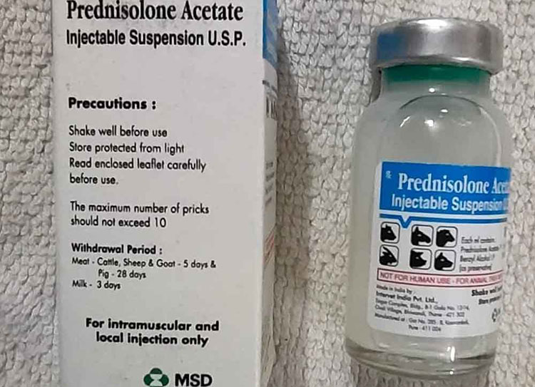 Prednisone