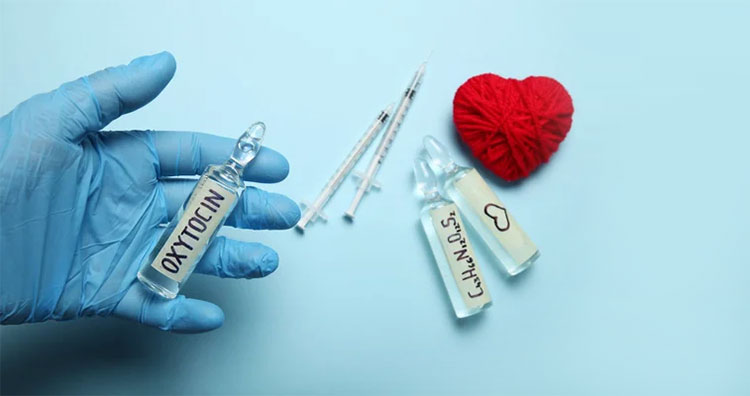 Production Of Hormones According To Hormone Manufacturing Facility Guidelines
