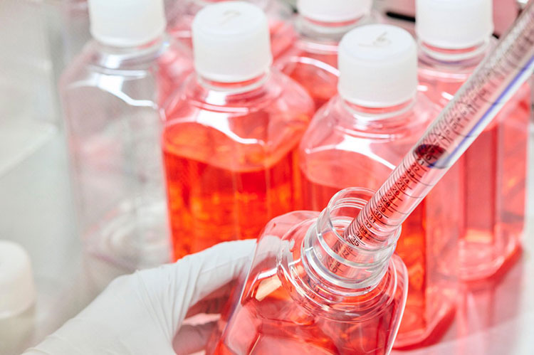 Production Of T Cell Culture Medium