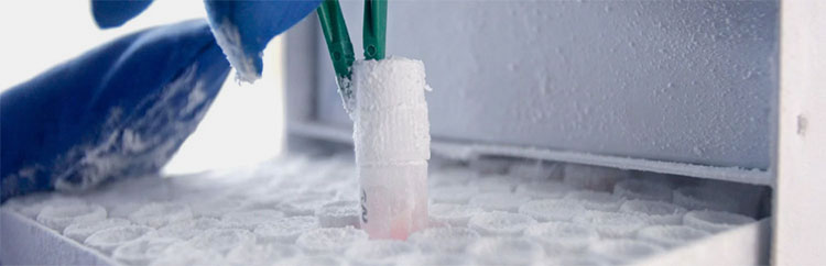 Protecting the vitality of cells