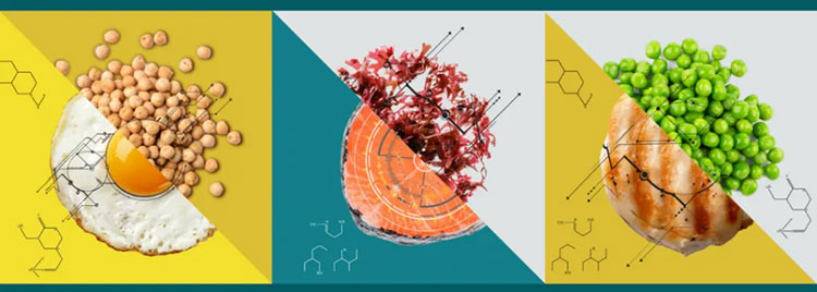 Raw Material and Ingredient Selection