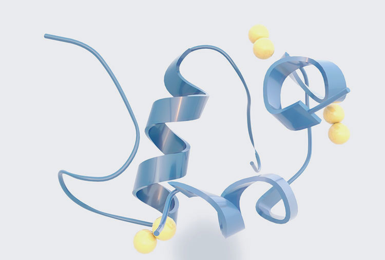 Recombinant Protein Manufacturing