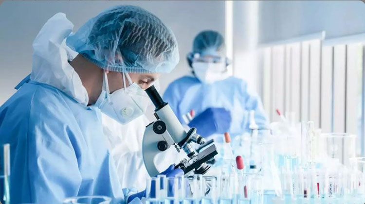 Research & development