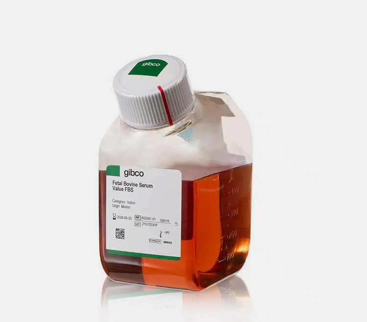 Serum