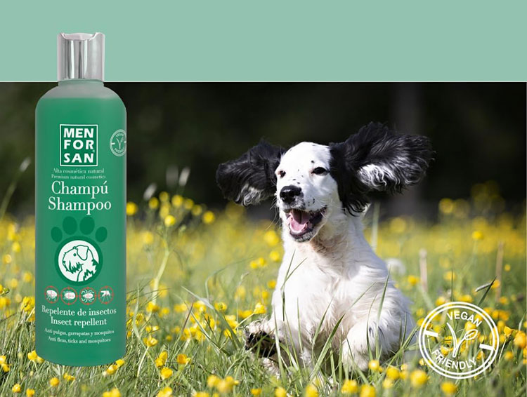 Shampoos-1