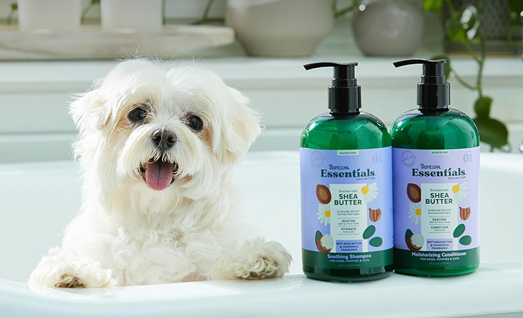 Shampoos