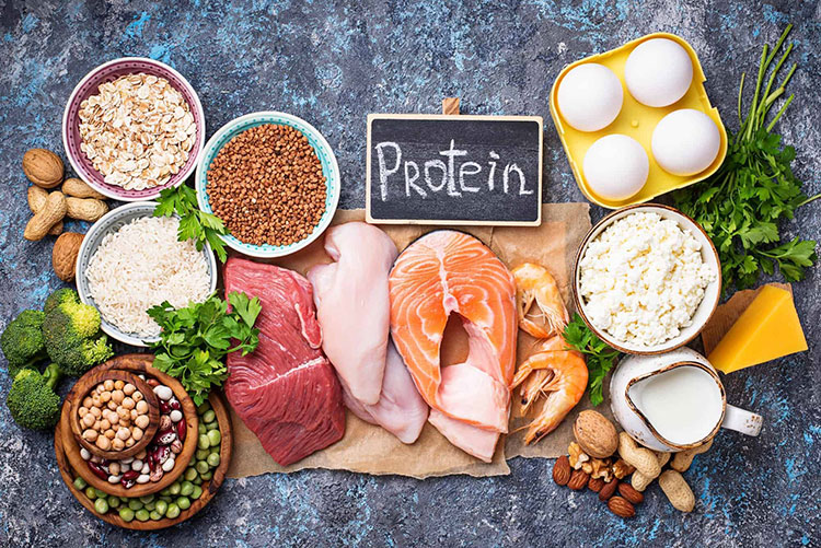 Significance Of Consuming Protein