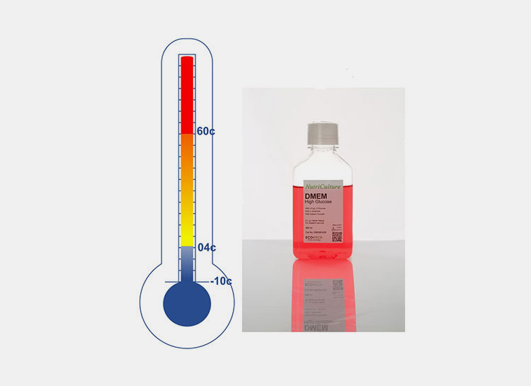 Store at correct temperature
