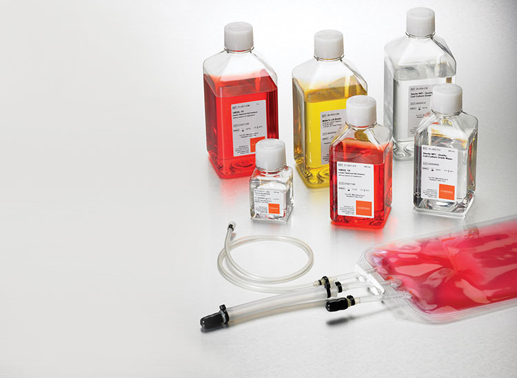 T cell culture medium can be classified