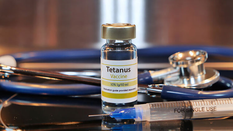 Tetanus antitoxin vaccine
