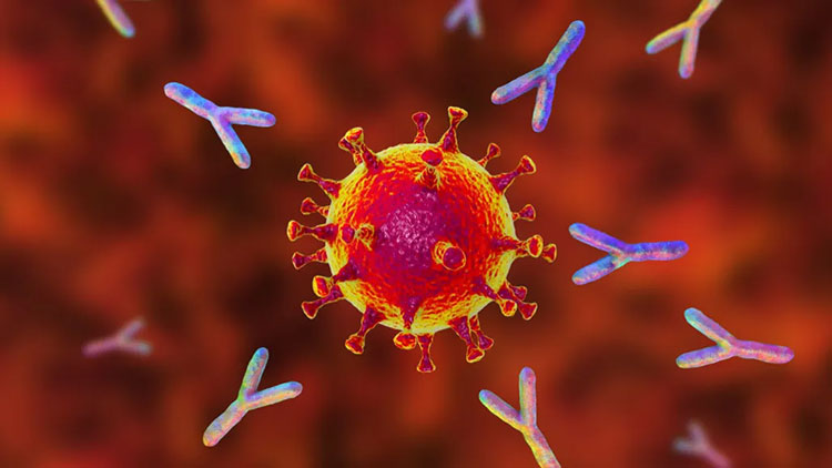 Therapeutic Protein Manufacturing
