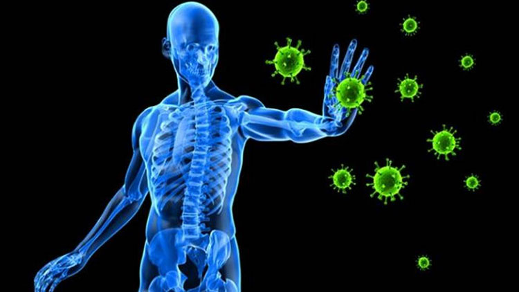 Type of immunity